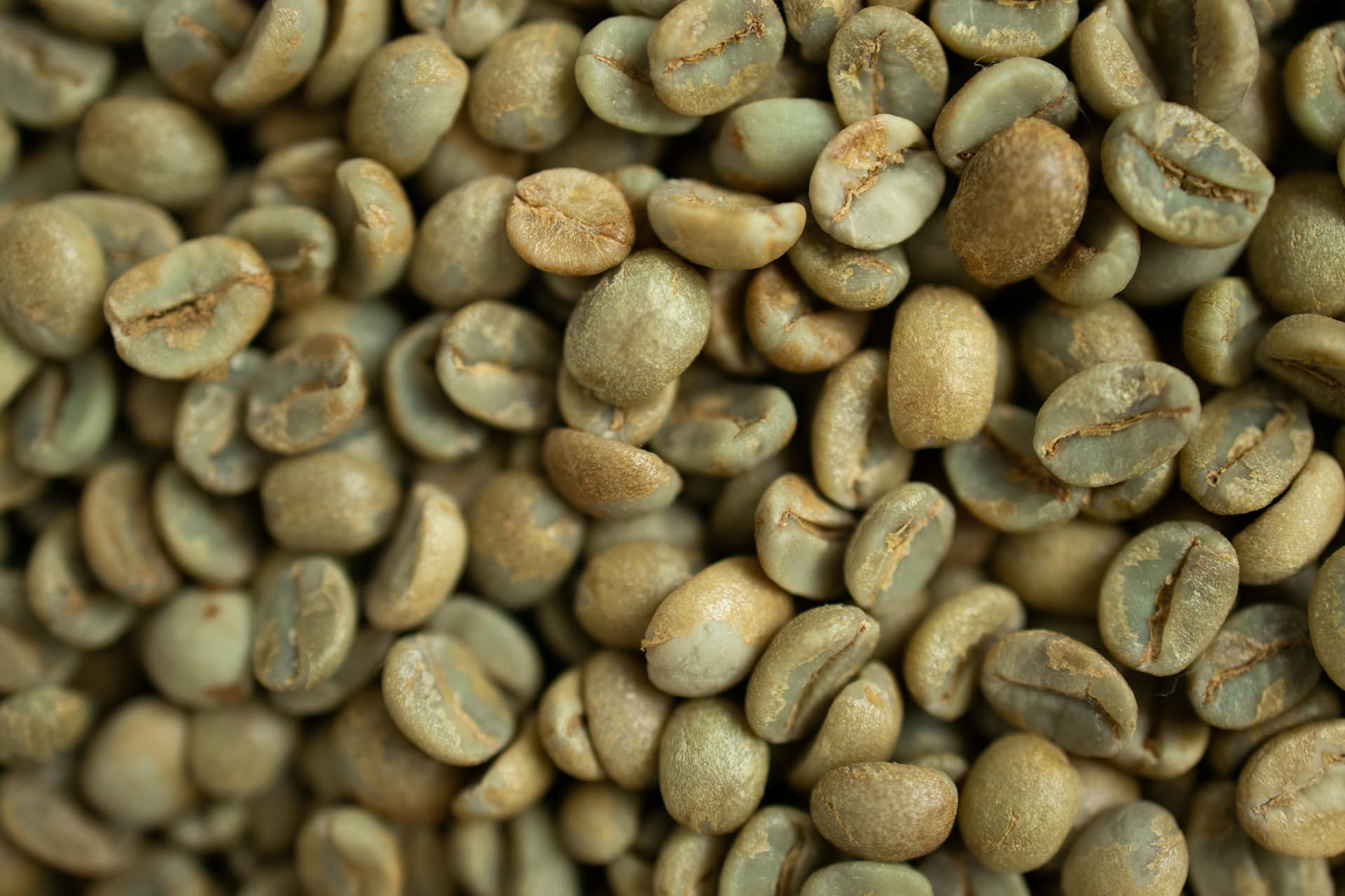 Green Coffee Beans